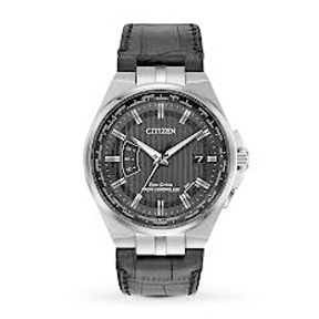 Citizen Men s Eco drive World Perpetual A.T. Stainless Steel Strap